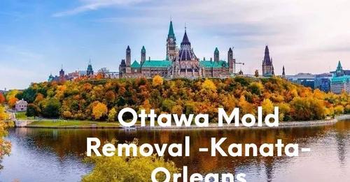 Ottawa Mold Removal near Kanata - Orleans