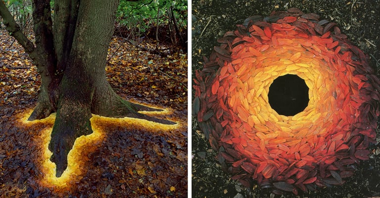 Natural land art featuring a glowing tree base and a circular gradient of autumn leaves.