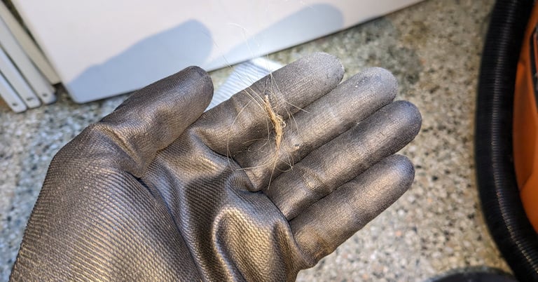 Hairs on a hand that wears black glove