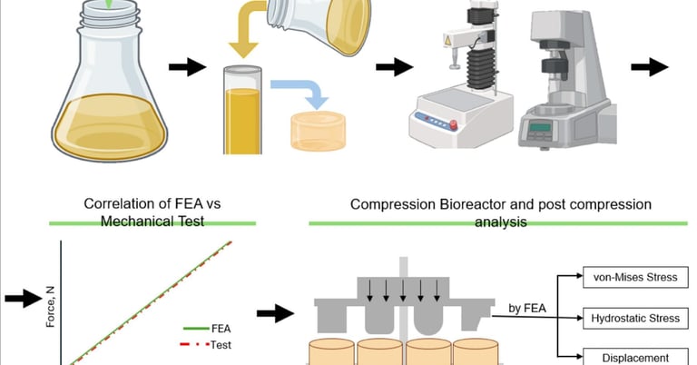 bioreactor, cyclic tissue engineering