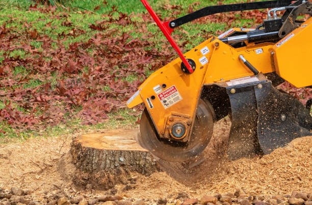 stump grinding