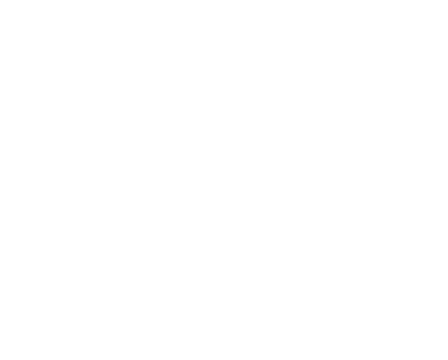 Logo ergon