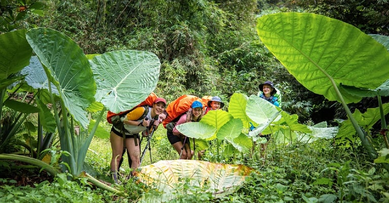 Bukit Lawang Trekking