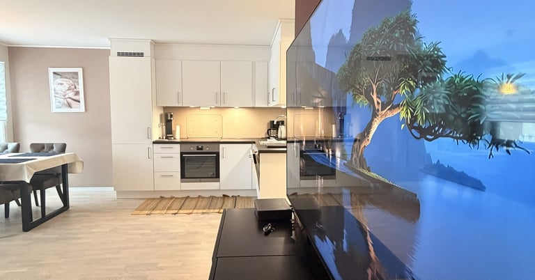 White kitcken, modern dishwasher, 65 inch flat screen TV painting on the wall