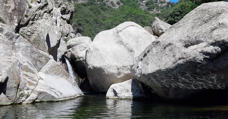 Vasque de baignade aux gorges d'Héric dans le pac naturel régional du Haut-Languedoc dans l'Hérault