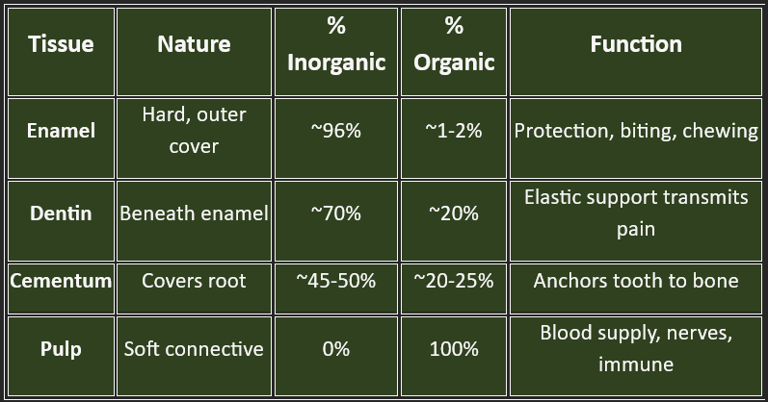 tooth bone composition