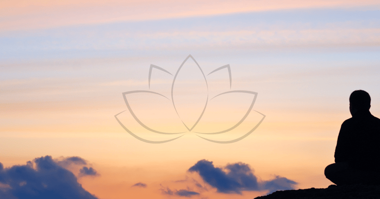 a person sitting on a rock with a lotus flower