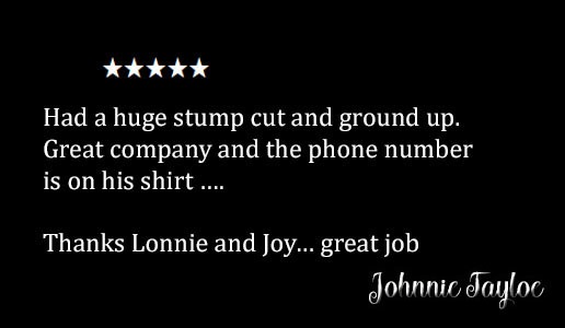 Review by Johnnie Tayloe