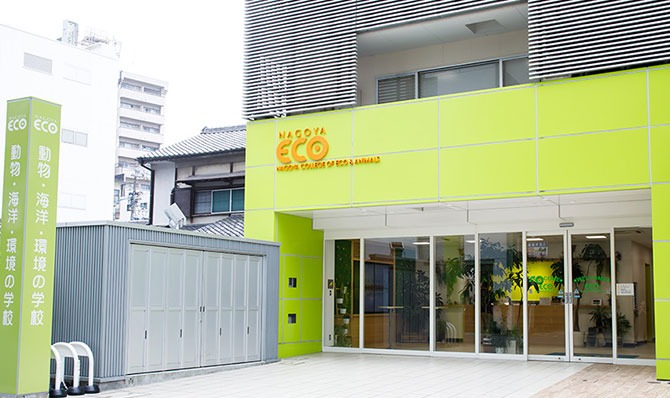 Nagoya College of Eco & Animals - Animal Nursing - Senmon Gakko