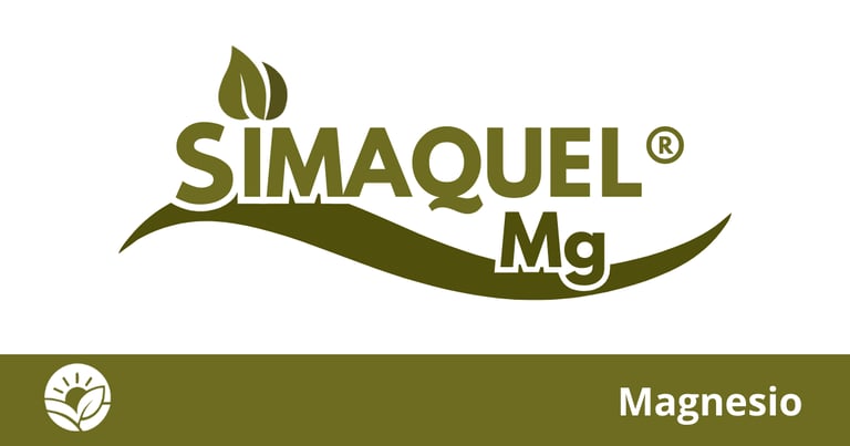 Quelatos Simaquel