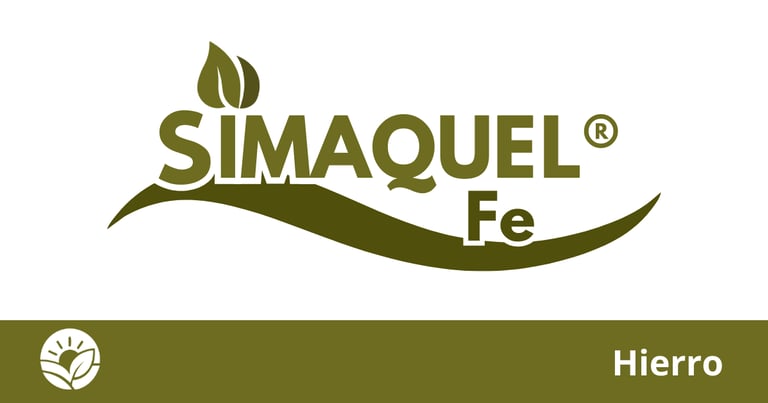 Quelatos Simaquel
