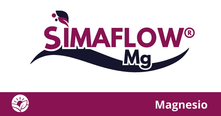 SimaFlow Magnesio