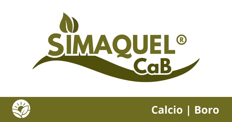 Quelatos Simaquel