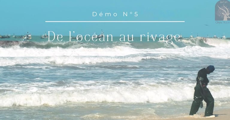 miniature de vidéo - de l'océan au rivage