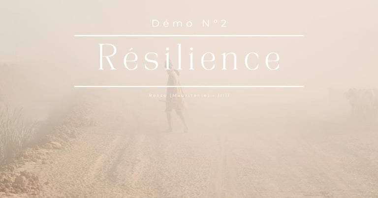 miniature de vidéo - resilience