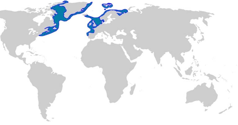 repartition-geographique-requin-du-groenland