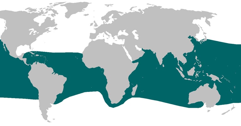 repartition-geographique-requin-grande-gueule
