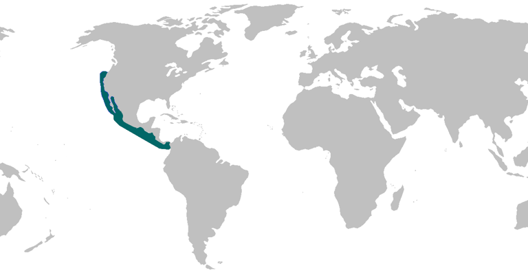 repartition-geographique-requin-leopard