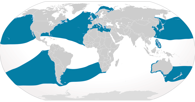 repartition-geographique-requin-pelerin