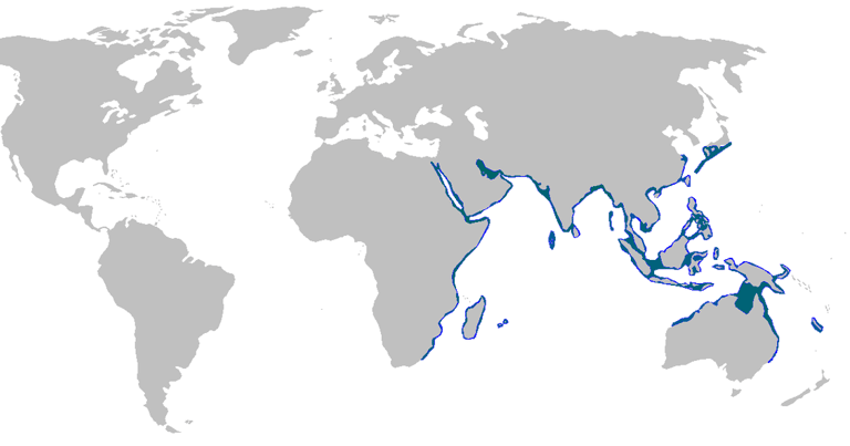 repartition-geographique-requin-zebre