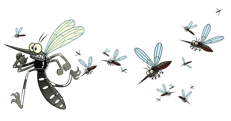 Désinsectisation efficace contre les moustiques tigres