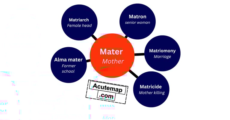 Root word vocabulary Mater for SSC UPSC 