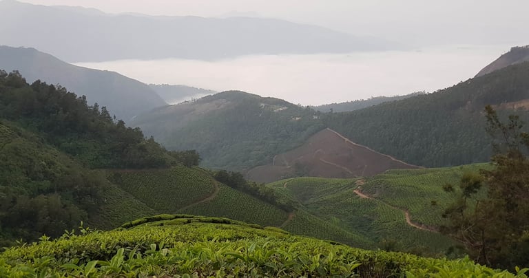 kolukkumalai