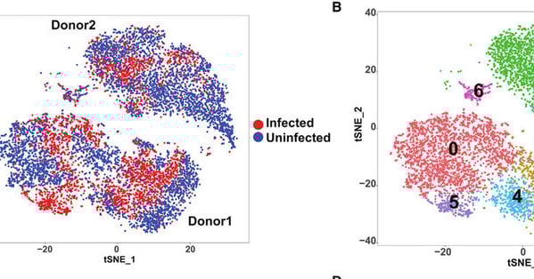 single cell bioinformatica mexico
