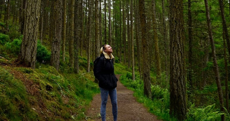 Coach Moll in a forest looking up at the trees