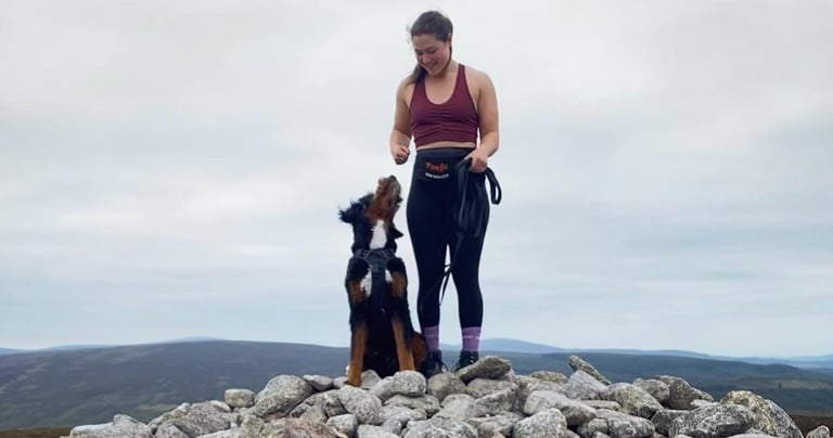 Murphy the Bernedoodle out for a mountain walk while pet sitting him