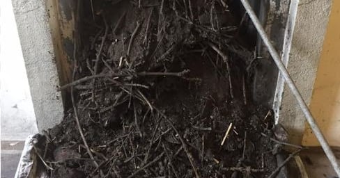 A Chimney with a birds nest half way removed