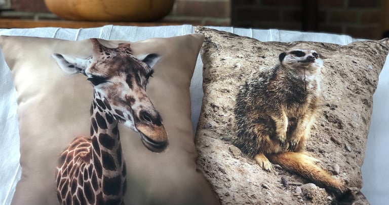 a pair of animal print cushions featuring a giraffe and a meerkat