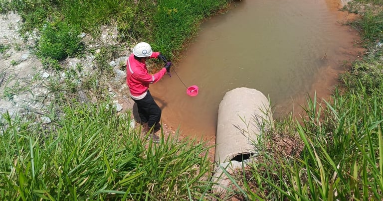 Water quality monitoring