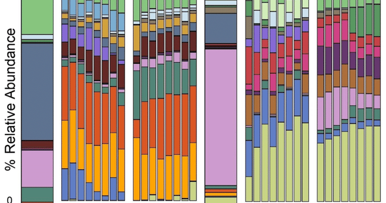 analisis microbioma bioinformatica mexico