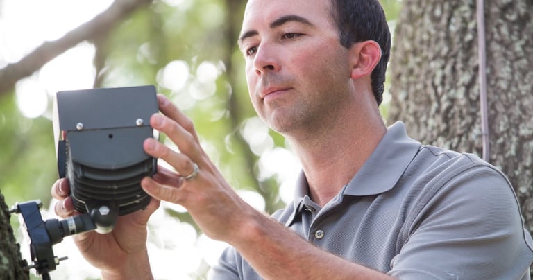 landscape lighting technician servicing a light in tree