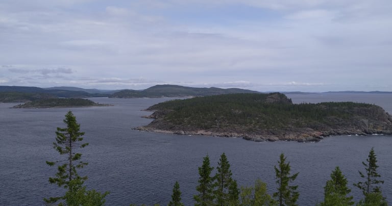 Högbonden