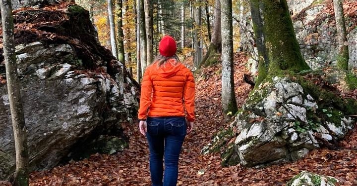 walking through the wood