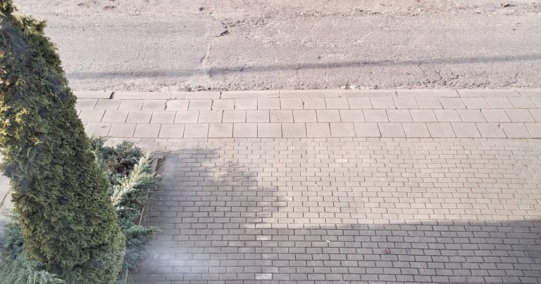 nemokamas parkingas