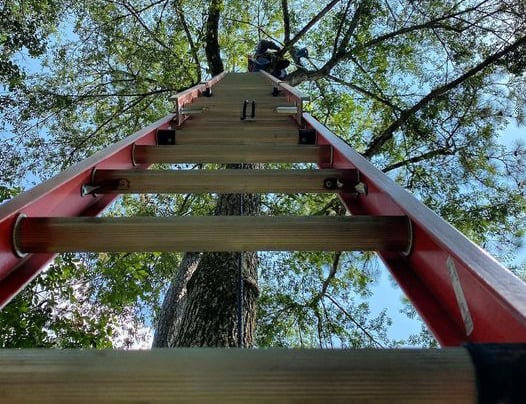 landscape lighting installer on extension ladder