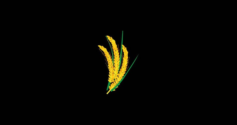 Wheat Barley.