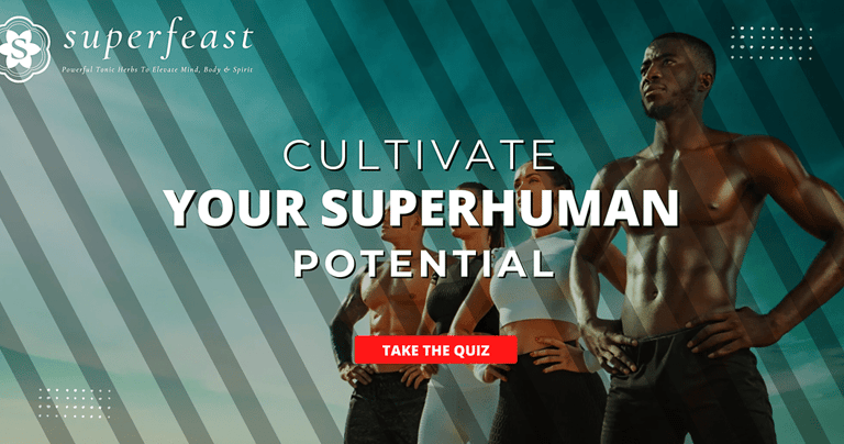 superfeast