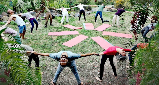 A diverse group of people performing a circle yoga stretch outdoors on green grass with pink mats.
