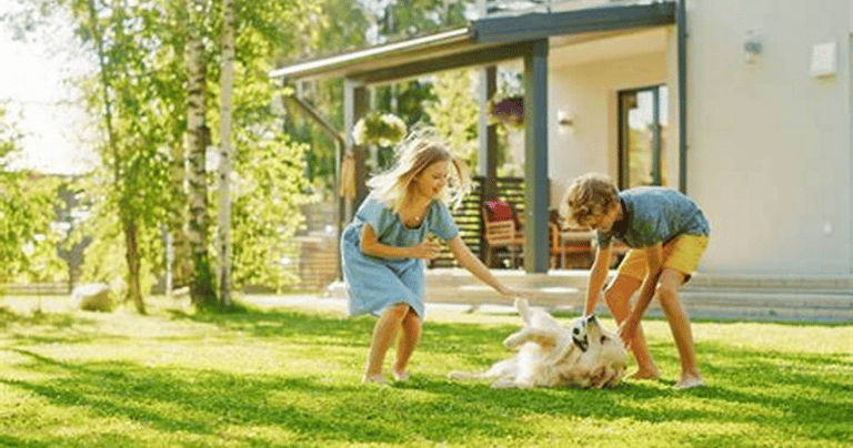 TLC Upstate Lawn & Pest Fire Ant Control