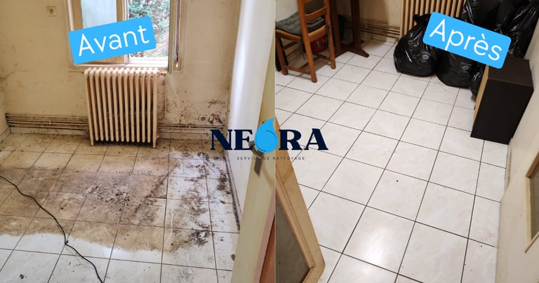 Nettoyage extrême la rochelle