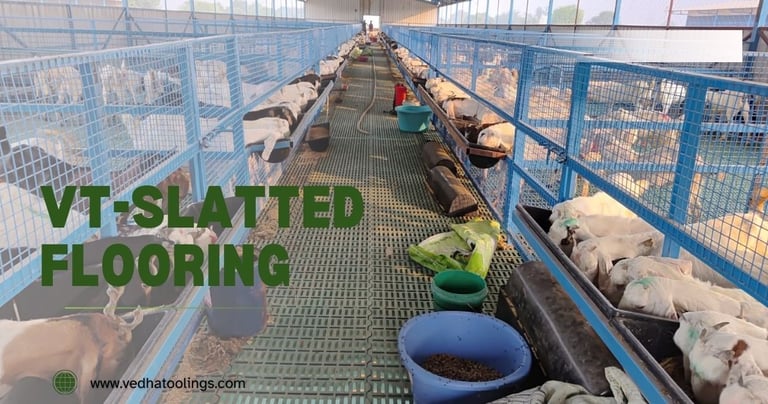 Image of a Hi tech Goat farm