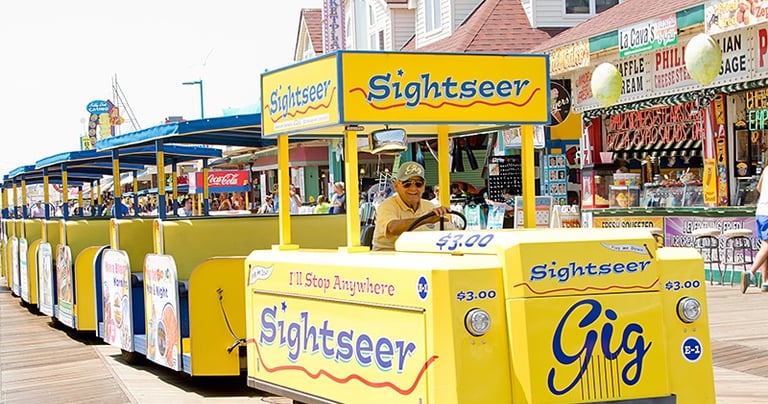 rainy day, clean up, beach day, caregiver, pet lover, kids, baby, dogs, party bartender