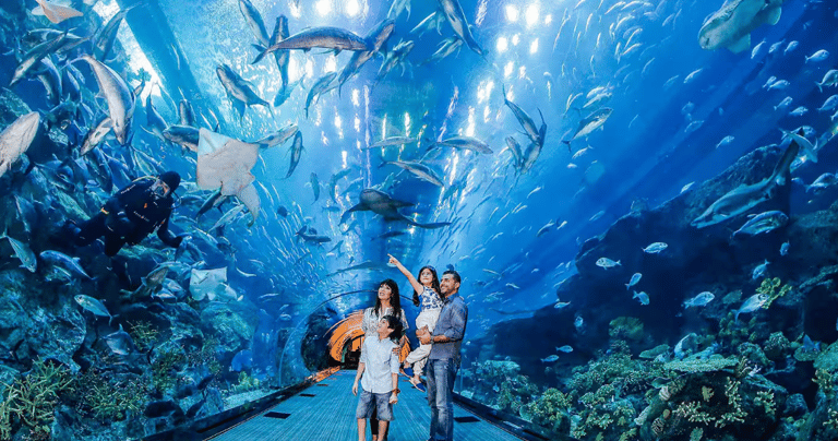 Book tickets of Dubai Aquarium - Go Dubai Chauffeurs & Tours