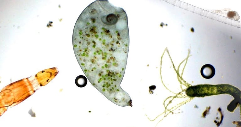 Análisis de agua, norma NCh 409 y otras