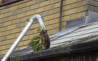 Gutter vacuum removing debris at C Thru window cleaning, Exeter.
