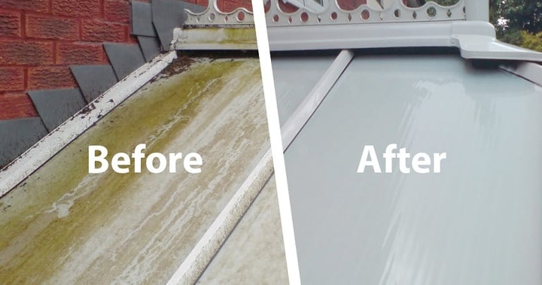 conservatory roof clean both before and after results by C-Thru, Exeter.